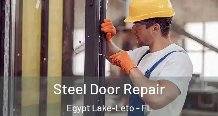  Steel Door Repair Egypt Lake-Leto - FL