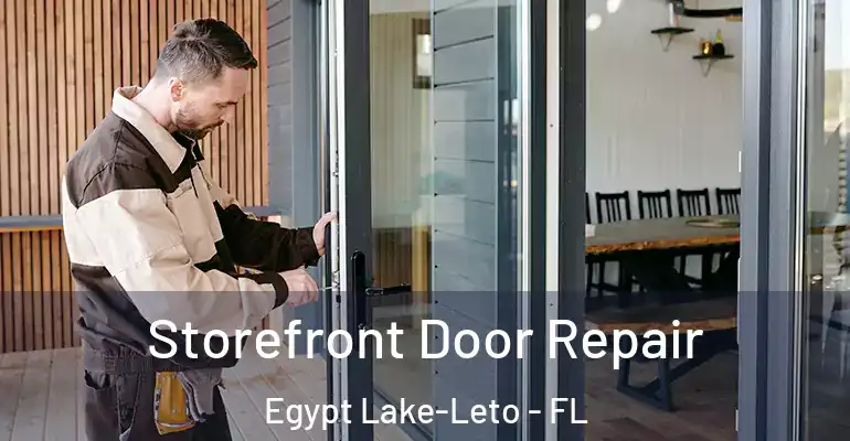  Storefront Door Repair Egypt Lake-Leto - FL