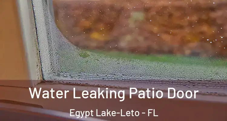  Water Leaking Patio Door Egypt Lake-Leto - FL