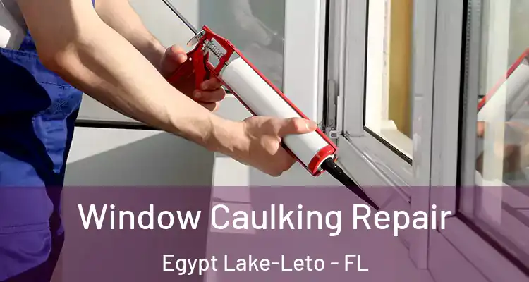  Window Caulking Repair Egypt Lake-Leto - FL