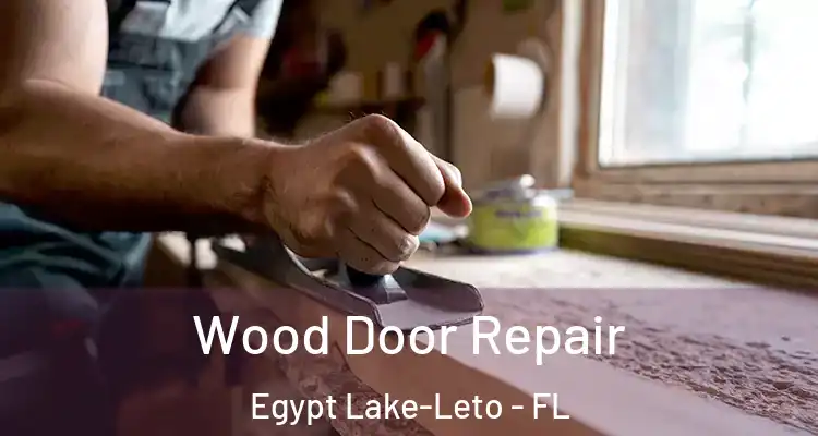  Wood Door Repair Egypt Lake-Leto - FL